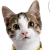 Profile picture of Shiv