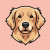 Profile picture of SUJITH